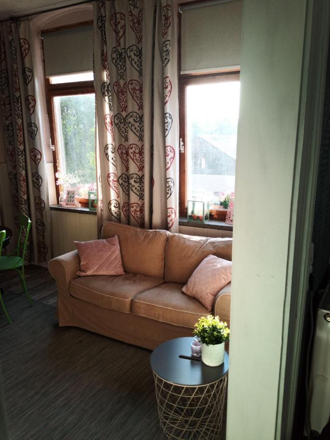 Zur Friedrichsruh Bed & Breakfast Oelsnitz  Exterior photo